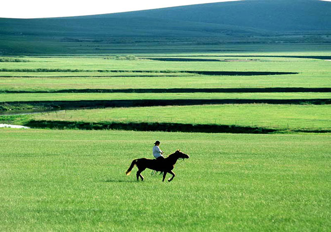 Hulunbeir Grassland